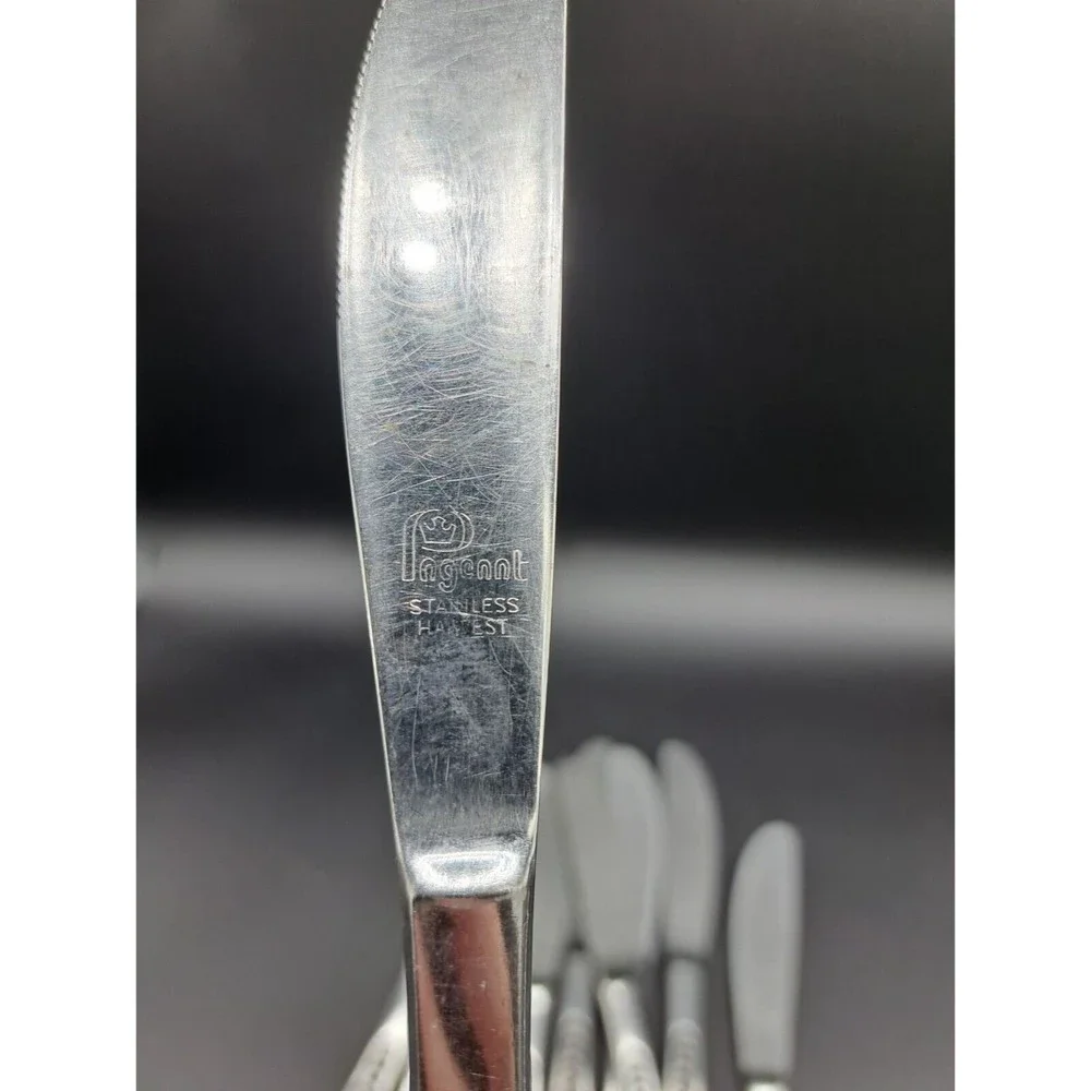 Vintage Pageant Harvest 11 Dinner Knives Stainless Flatware Japan